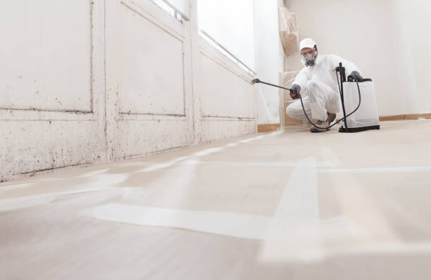 24/7 Emergency Attic Mold Remediation experts in Maple Shade, NJ