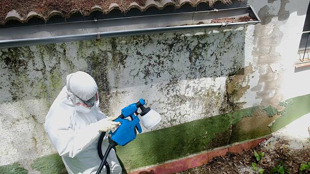 Top rated local Attic Mold Remediation specialists in Maple Shade, NJ